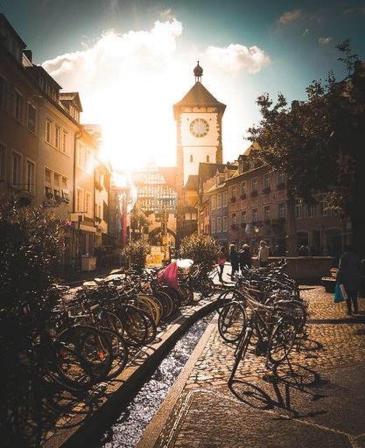 Deluxe Studio 9 In Der Altstadt Apartman Freiburg im Breisgau Kültér fotó